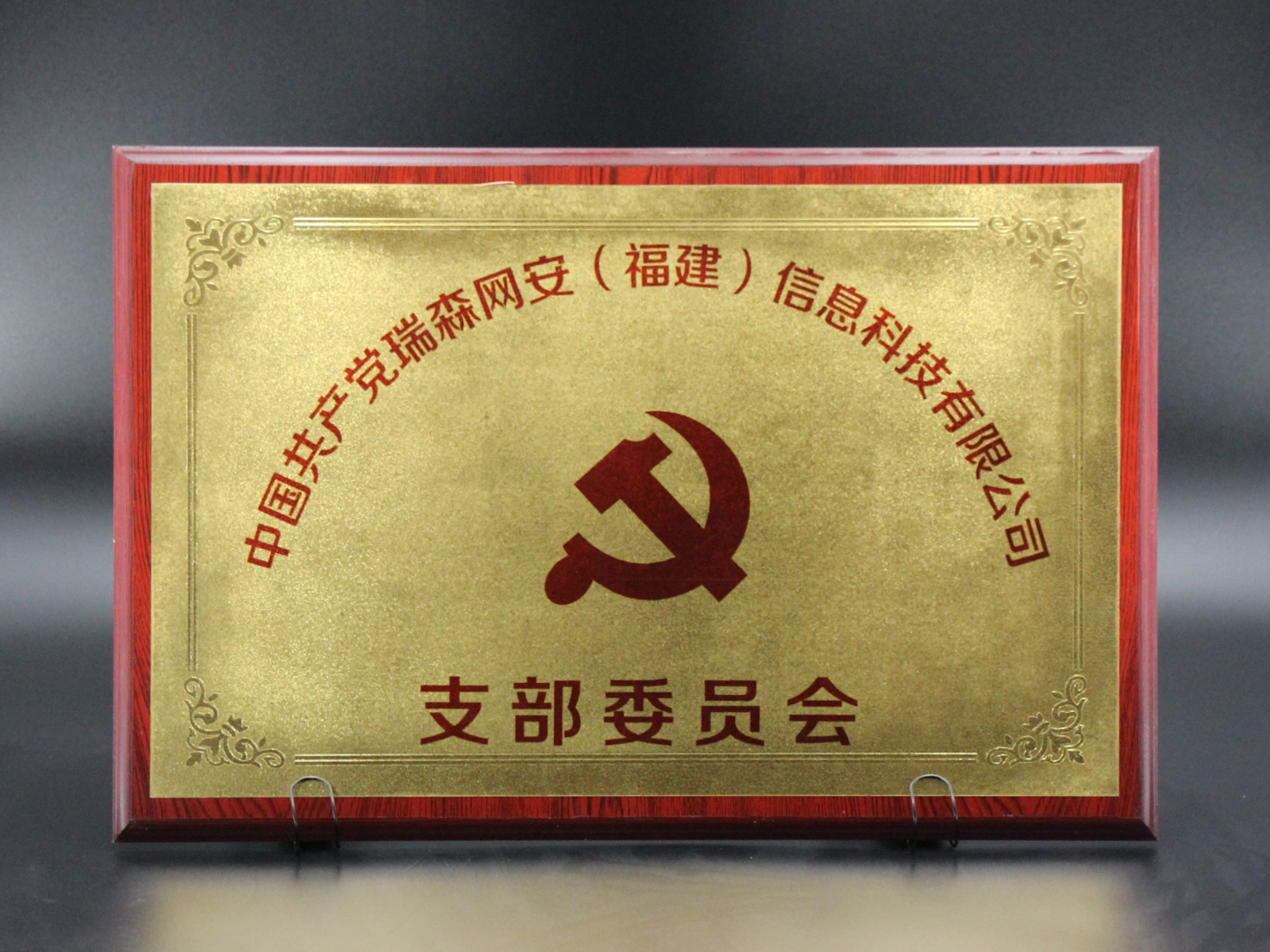 中国共产党瑞森网安（福建）信息科技有限公司支部委员会